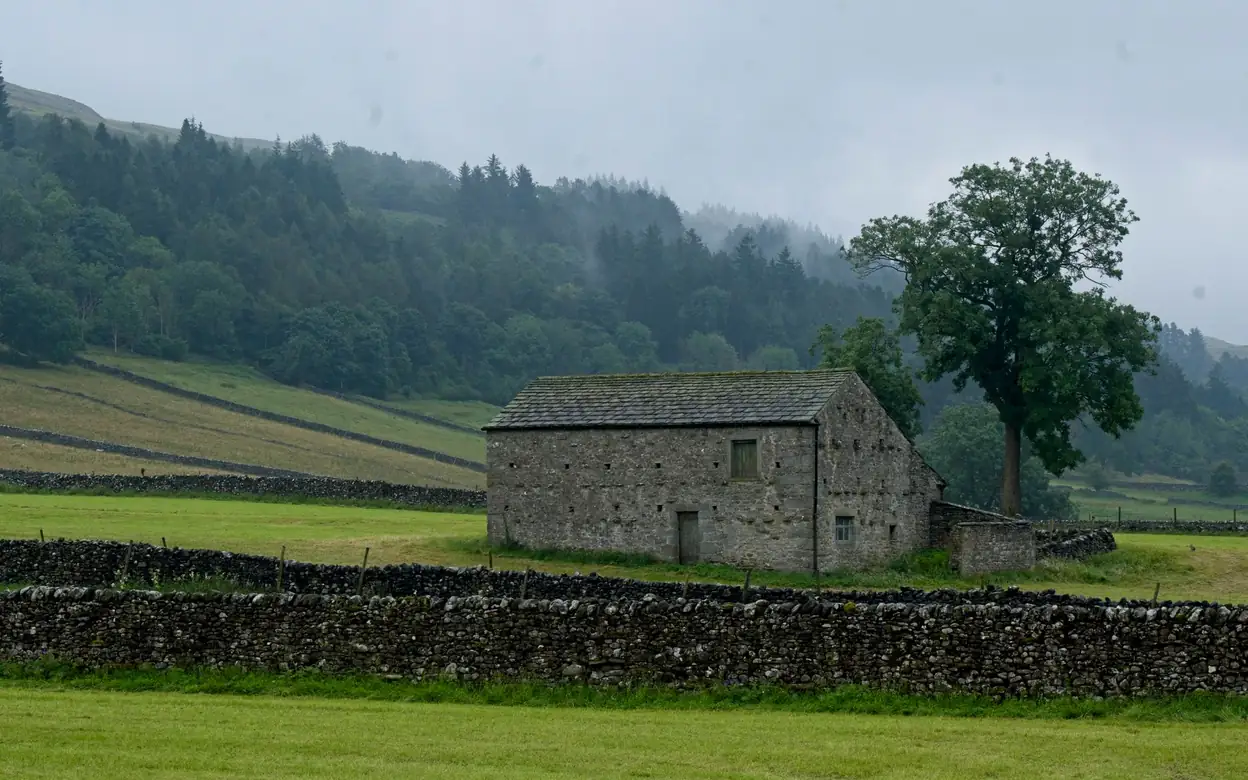 La maison vue du pré : longère de pierre à toit de lauzes, un grand frêne à côté, murets de pierre sèche au premier plan et coteau boisé dans la brume.